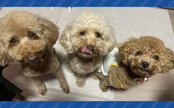 小山城南店　Image003