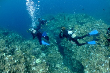 弁天町店④- G.Group株式会社合田聖生