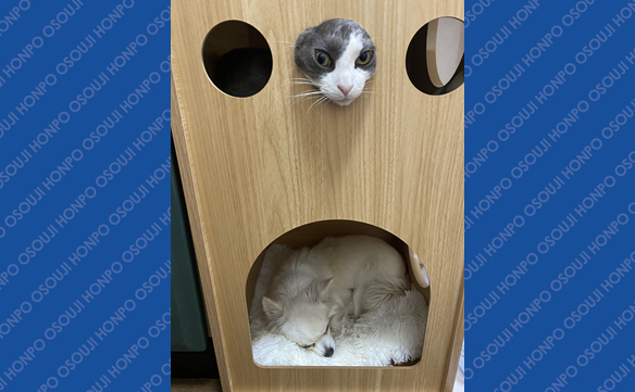 14340 十和田店 Image003