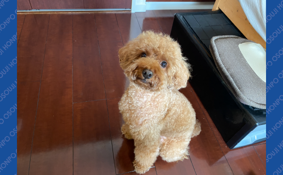 16825吹田千里山店_03