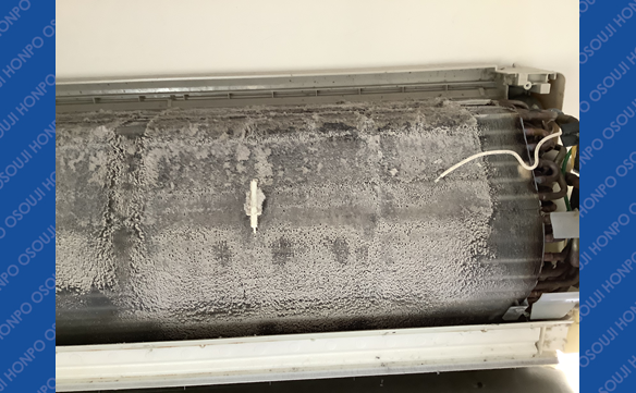 19333　新潟松崎店 Image003