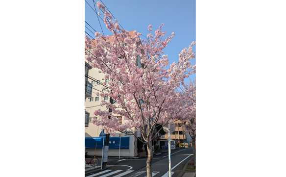 20660　横浜中村町店　02