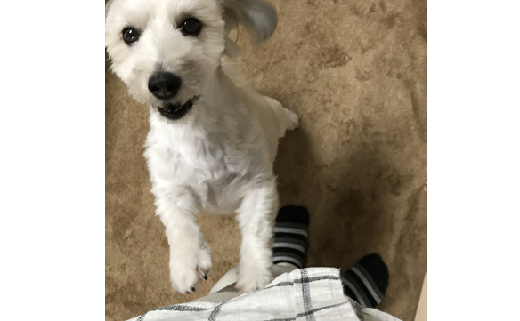 20962 松戸馬橋店 005 untitled - 松沢将斗