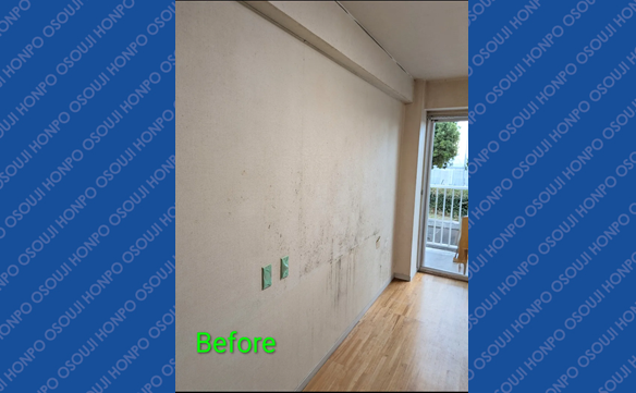 21070　豊橋岩田店　Image003N