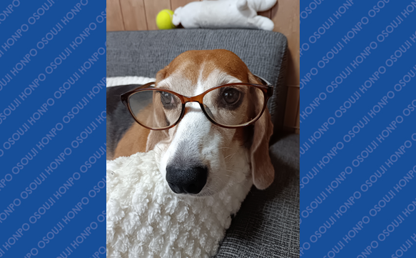 21115　浦添南店　image002