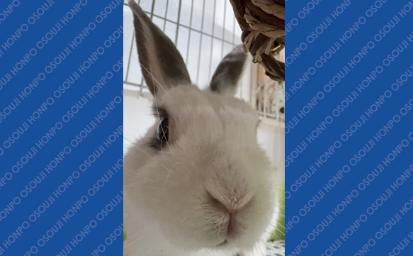 21170 渋川インター店　image003