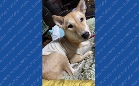 21170 渋川インター店　image004