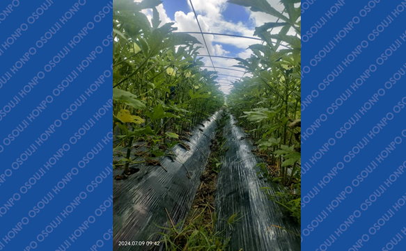 21182 那覇国場店　image003  