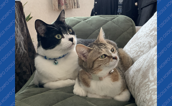 21232 三島徳倉店　image003