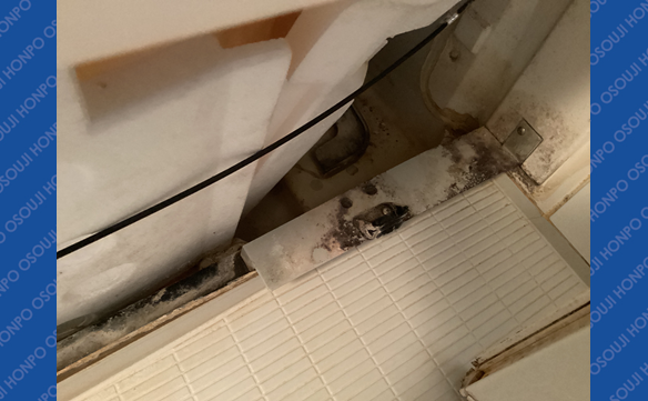 21235　江戸川松江店 Image004