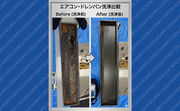 21250 東流山店　Image004