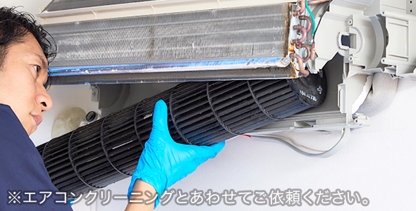 完全分解洗浄（オプション）