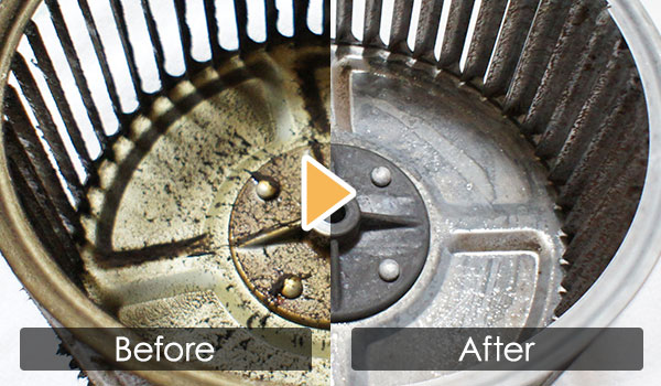 Before After 比較
