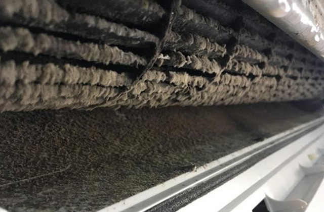 エアコン内部のカビの写真