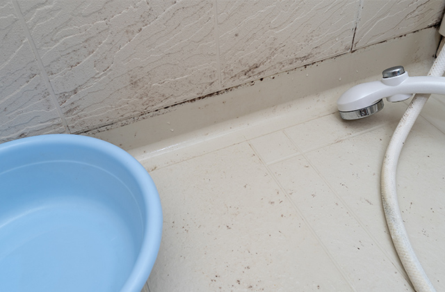 お風呂（浴室）の床の黒ずみはなぜできるのか？