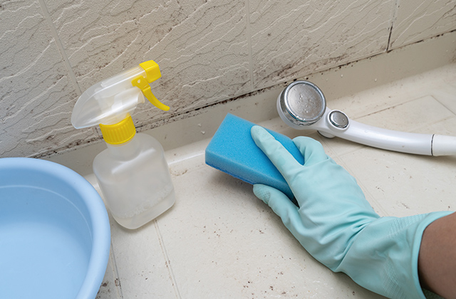 お風呂（浴室）のカビ取り方法を徹底解説！効果的な掃除方法と予防法