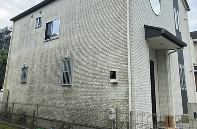 外壁掃除の最適な頻度とタイミング