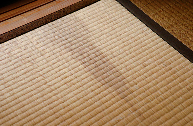 畳に汚れやシミがついたときの対処法