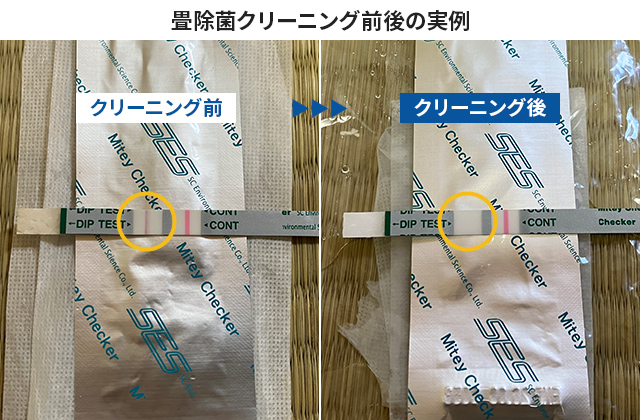 畳除菌クリーニング前後の実例