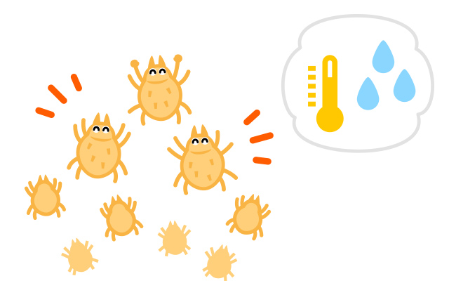 畳にダニが発生する原因とは？