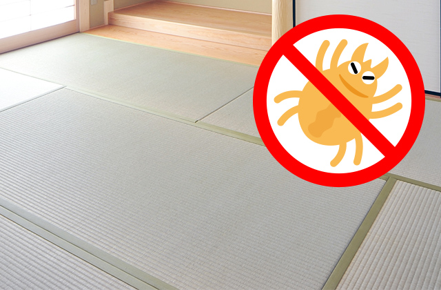 畳のダニ対策｜自分でできる駆除