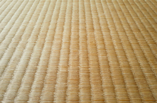 畳のカビ取り方法を紹介！自分でできるカビの落とし方と予防法