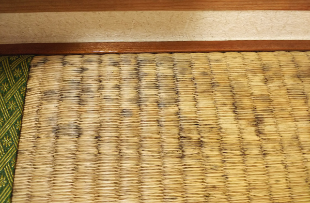 畳にカビが生えるのはなぜ？