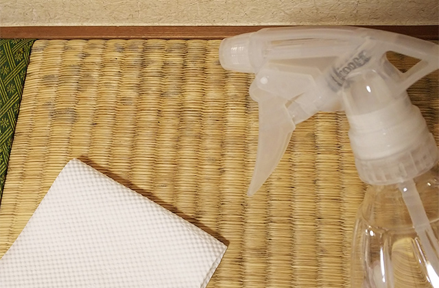自分でできる畳のカビ取り方法