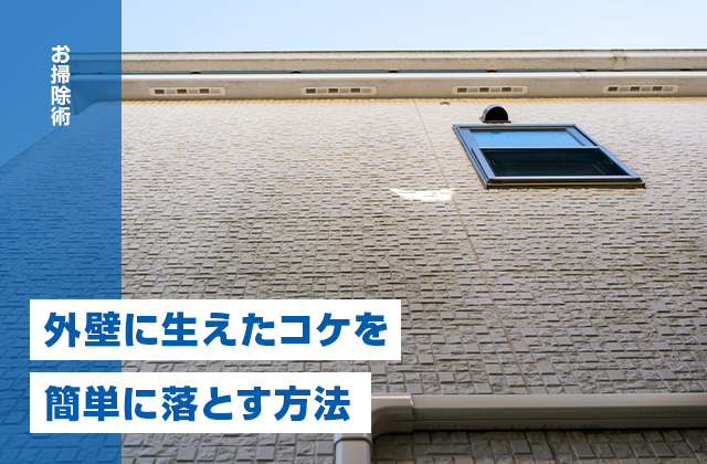 外壁のコケ取りは自分でできる？簡単に落とす方法と予防策を解説