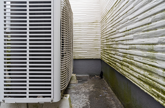 外壁にもコケが生える？その原因とリスクとは