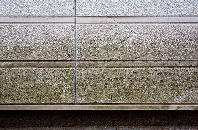 外壁の黒ずみの原因は？