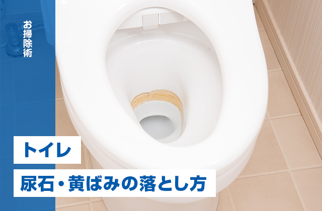 トイレの尿石・黄ばみの落とし方｜掃除方法と予防法をプロが解説