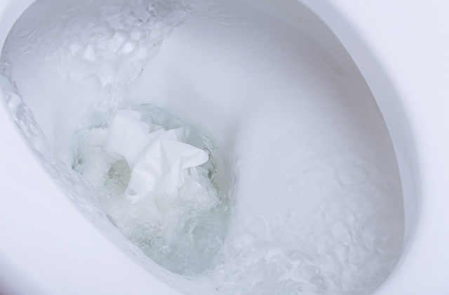 トイレの排水管が汚れる主な原因